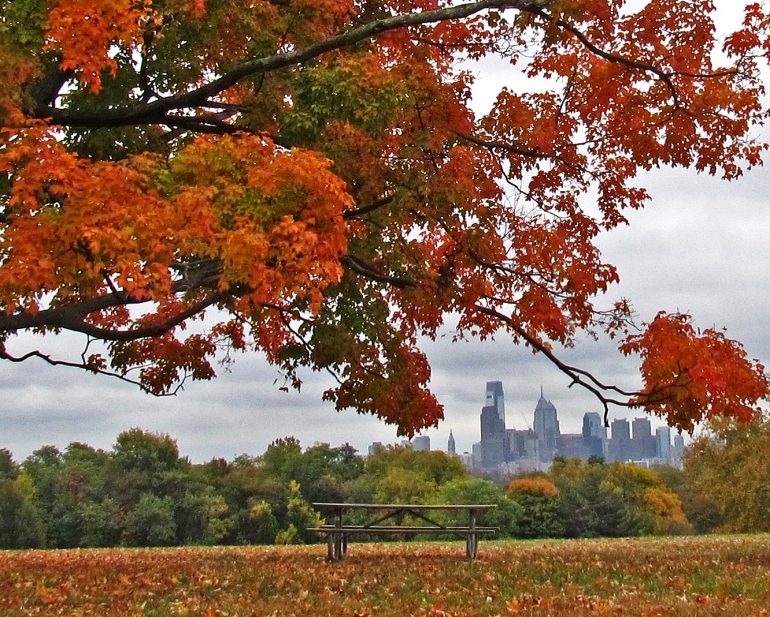 Philly In Fall